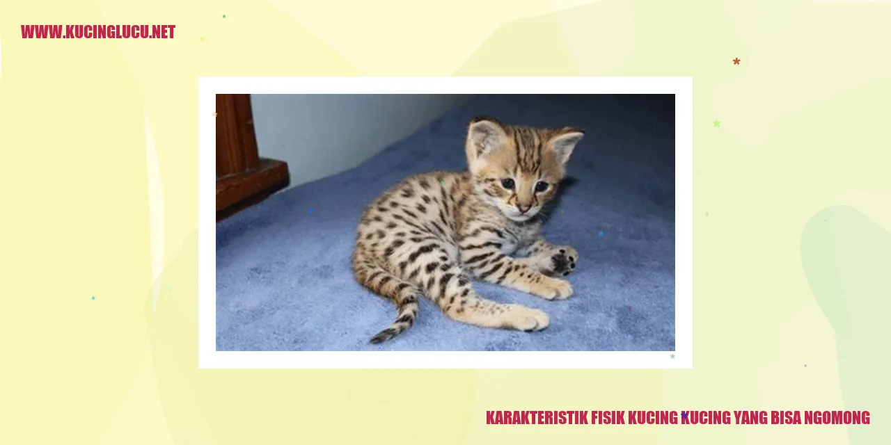 Karakteristik Fisik Kucing yang Bisa Mengucapkan Kata-kata