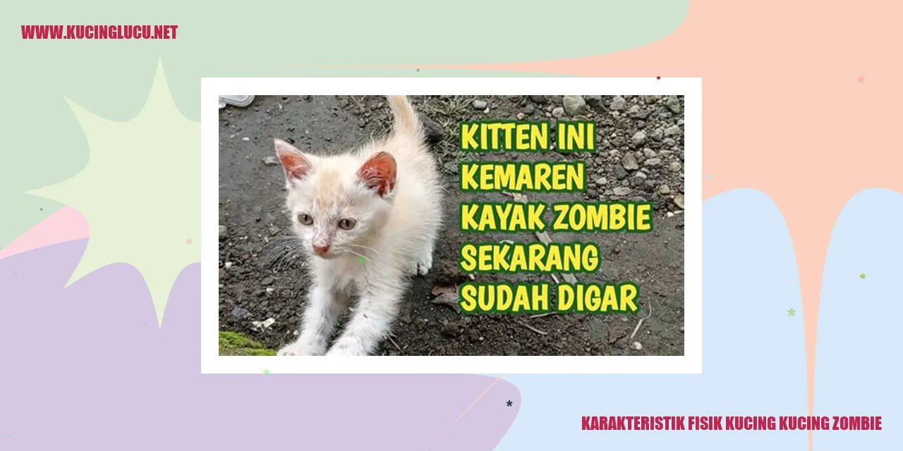 Karakteristik Fisik Kucing kucing zombie