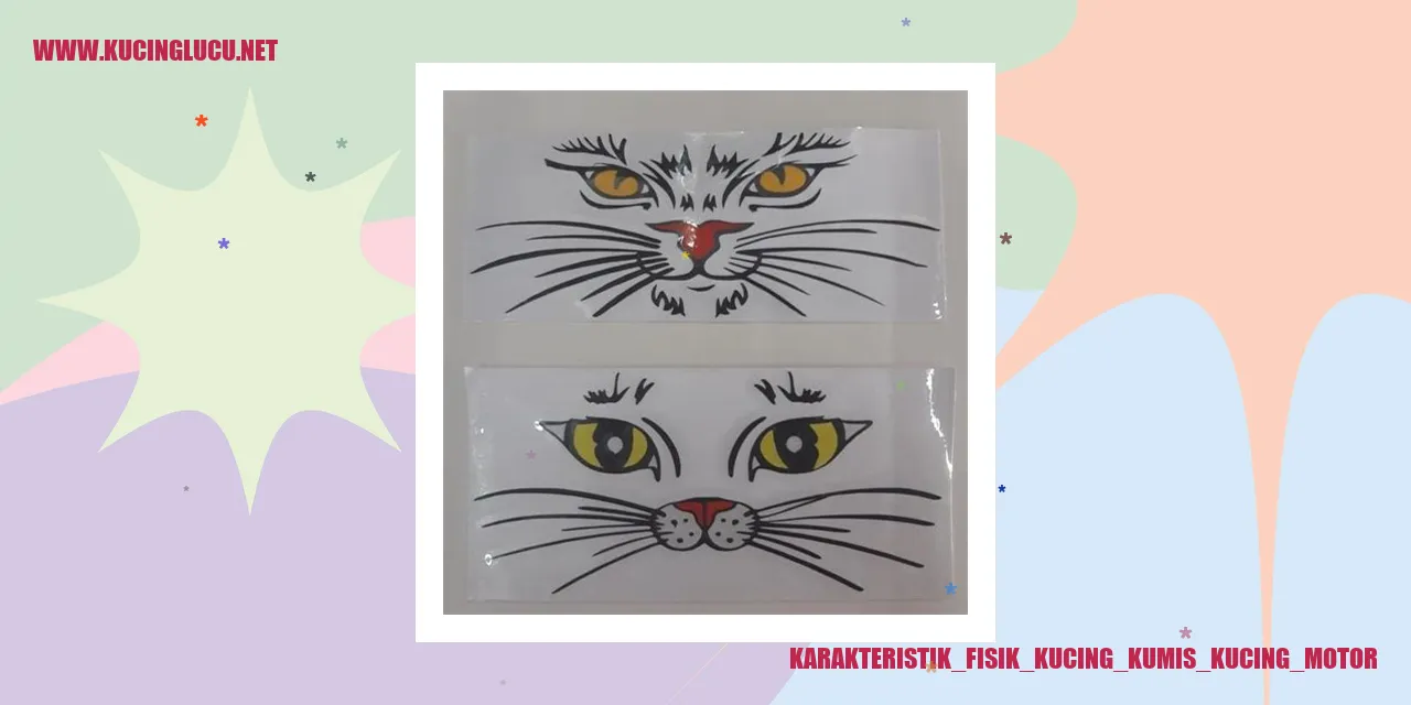Gambar Kucing Kumis Kucing Motor