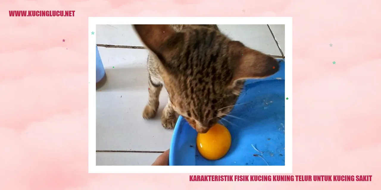 Kucing Warna Kuning Kunyit
