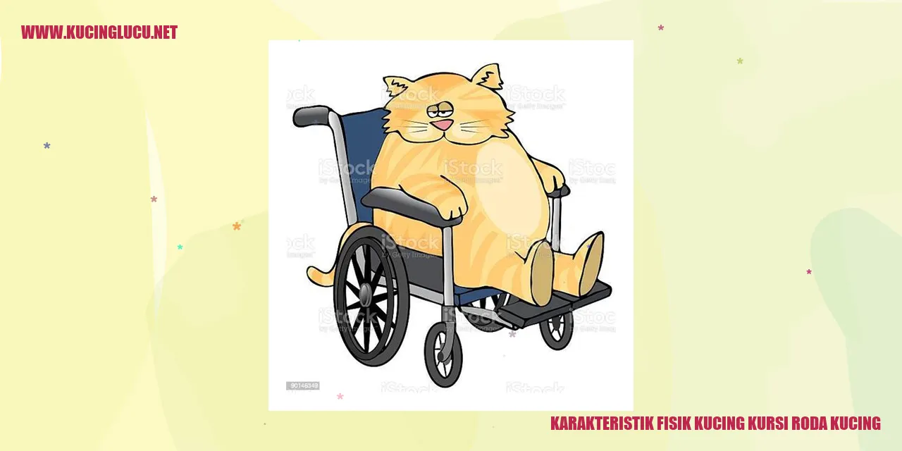 Karakteristik Fisik Kucing Kursi Roda Kucing