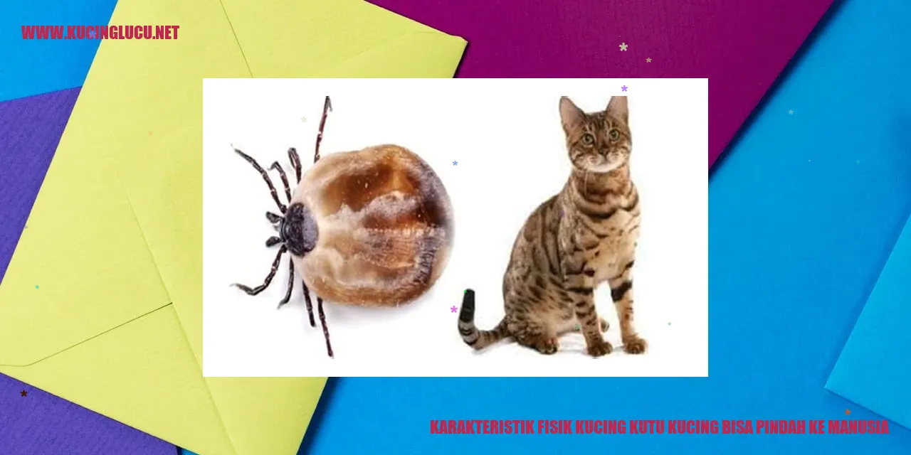 Karakteristik Fisik Kucing