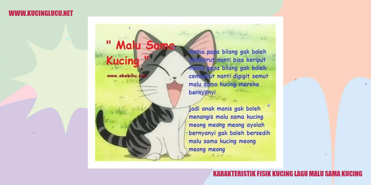Karakteristik Fisik Kucing Lagu Malu Sama Kucing