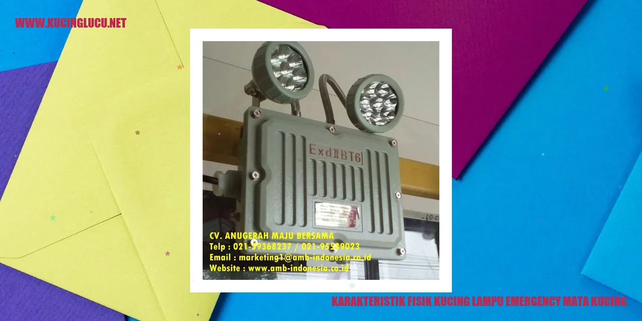 Gambar Kucing Lampu Emergency Mata Kucing