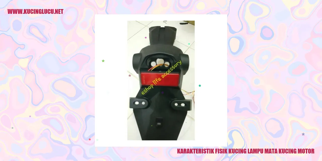 Karakteristik Fisik Kucing lampu mata kucing motor