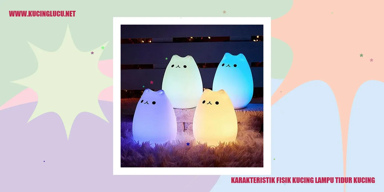 Karakteristik Fisik Kucing Lampu Tidur Kucing