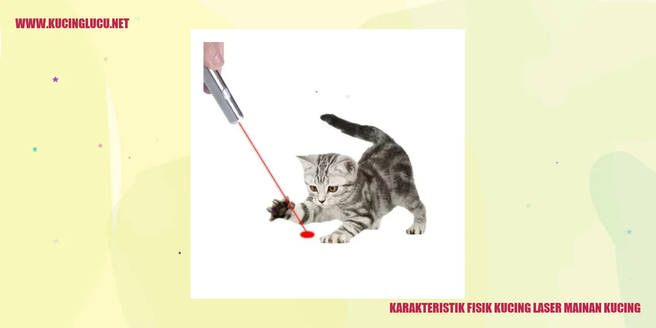Karakteristik Fisik Kucing Laser Mainan Kucing