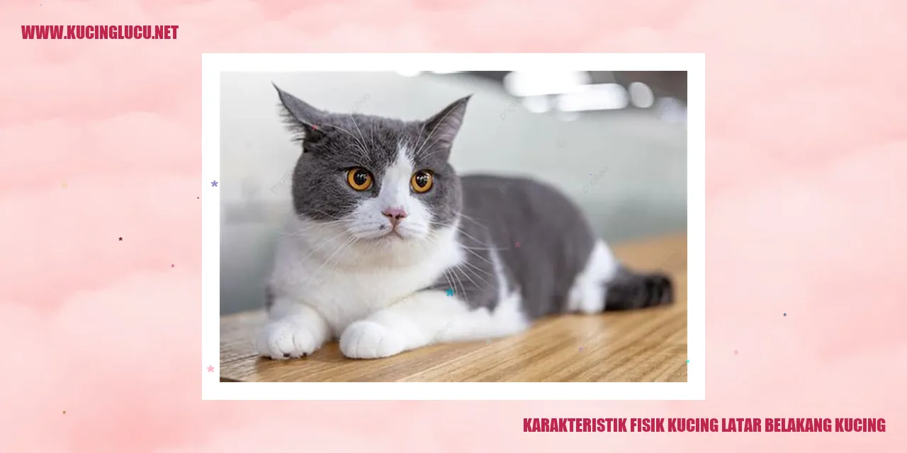 Kucing dengan Ciri Fisik yang Unik