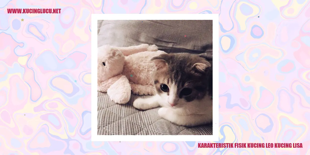 Karakteristik Fisik Kucing Leo dan Kucing Lisa