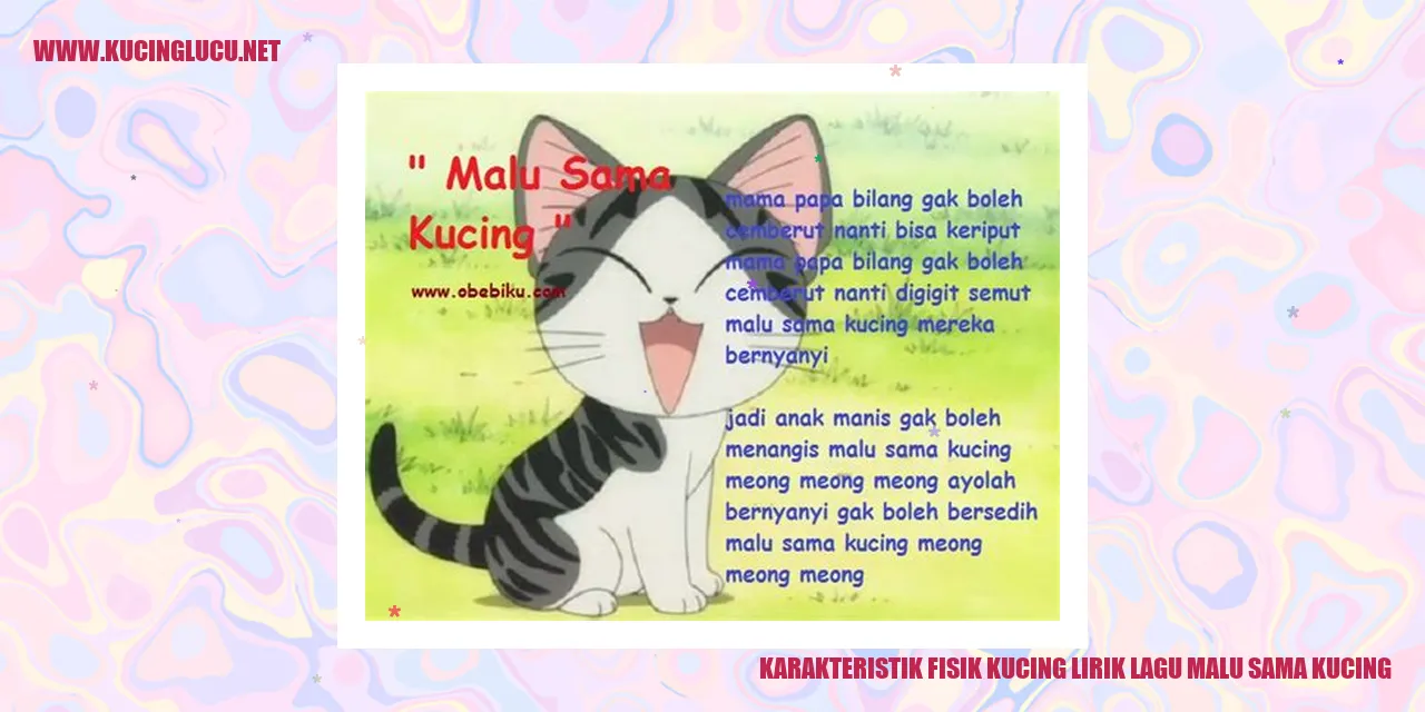 Karakteristik Fisik Kucing lirik lagu malu sama kucing