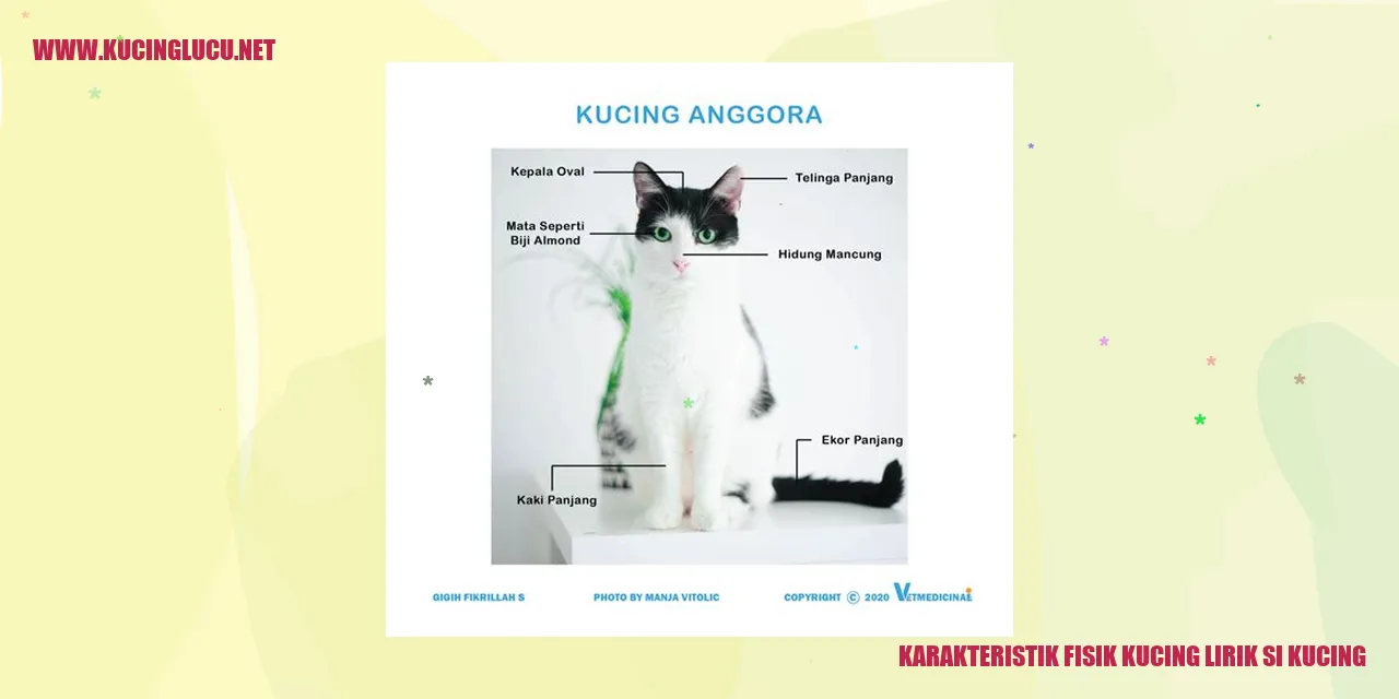 gambar kucing