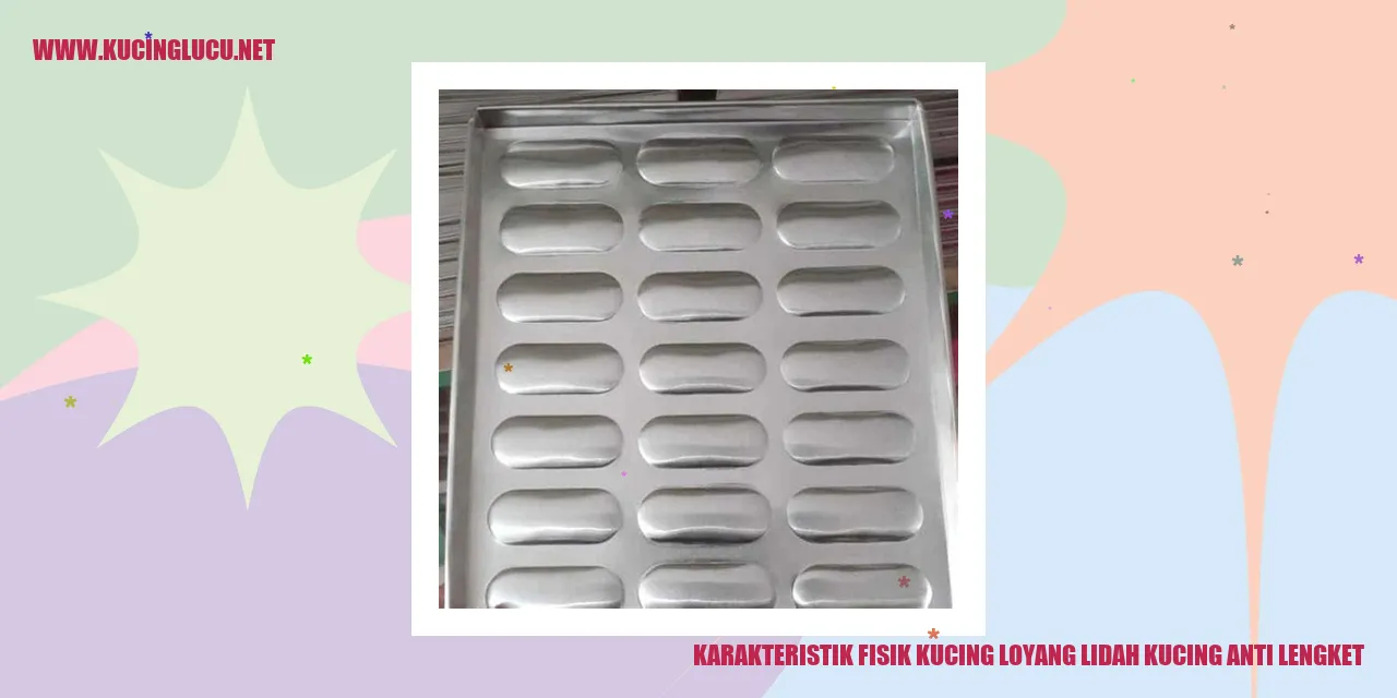 Karakteristik Fisik Kucing Loyang Lidah Kucing Anti Lengket