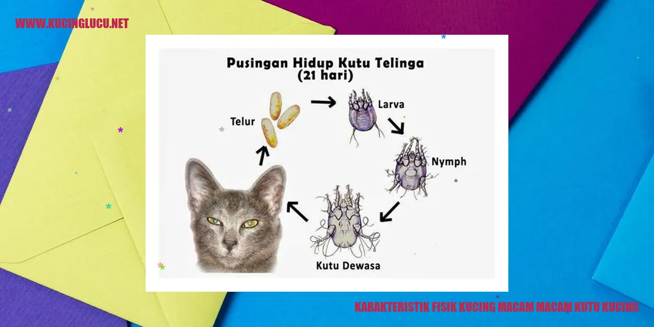 Kucing dan Kutu