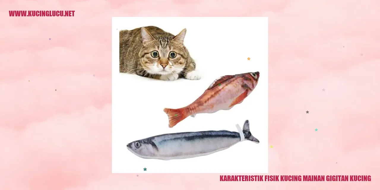 Karakteristik Fisik Kucing Mainan Gigitan Kucing