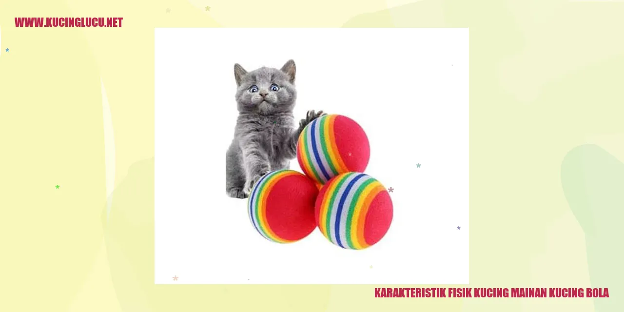 Foto Kucing Mainan