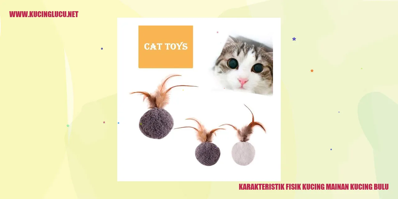 Gambar kucing bulu