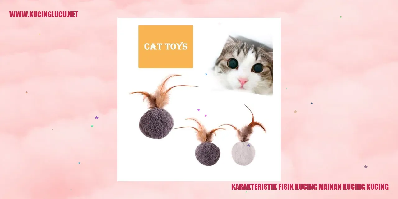 Karakteristik Fisik Kucing Mainan