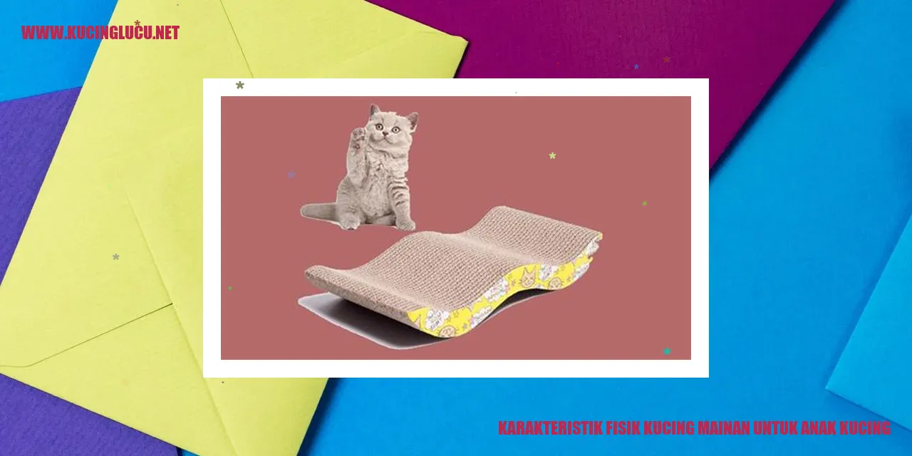 Karakteristik Fisik Kucing Mainan untuk Anak Kucing