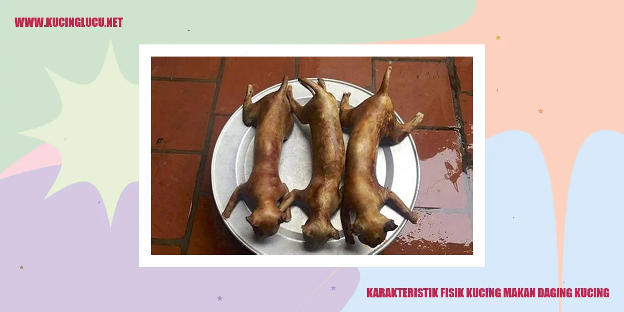 Karakteristik Fisik Kucing