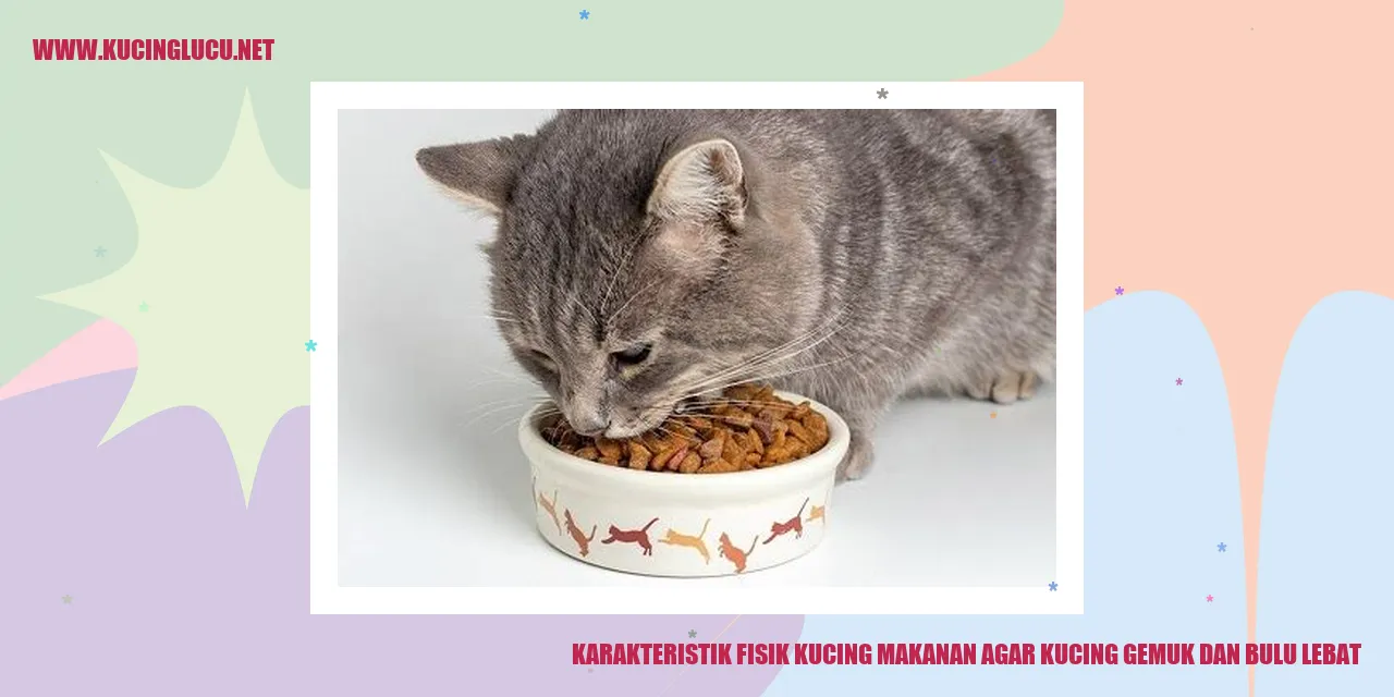 Karakteristik Fisik Kucing