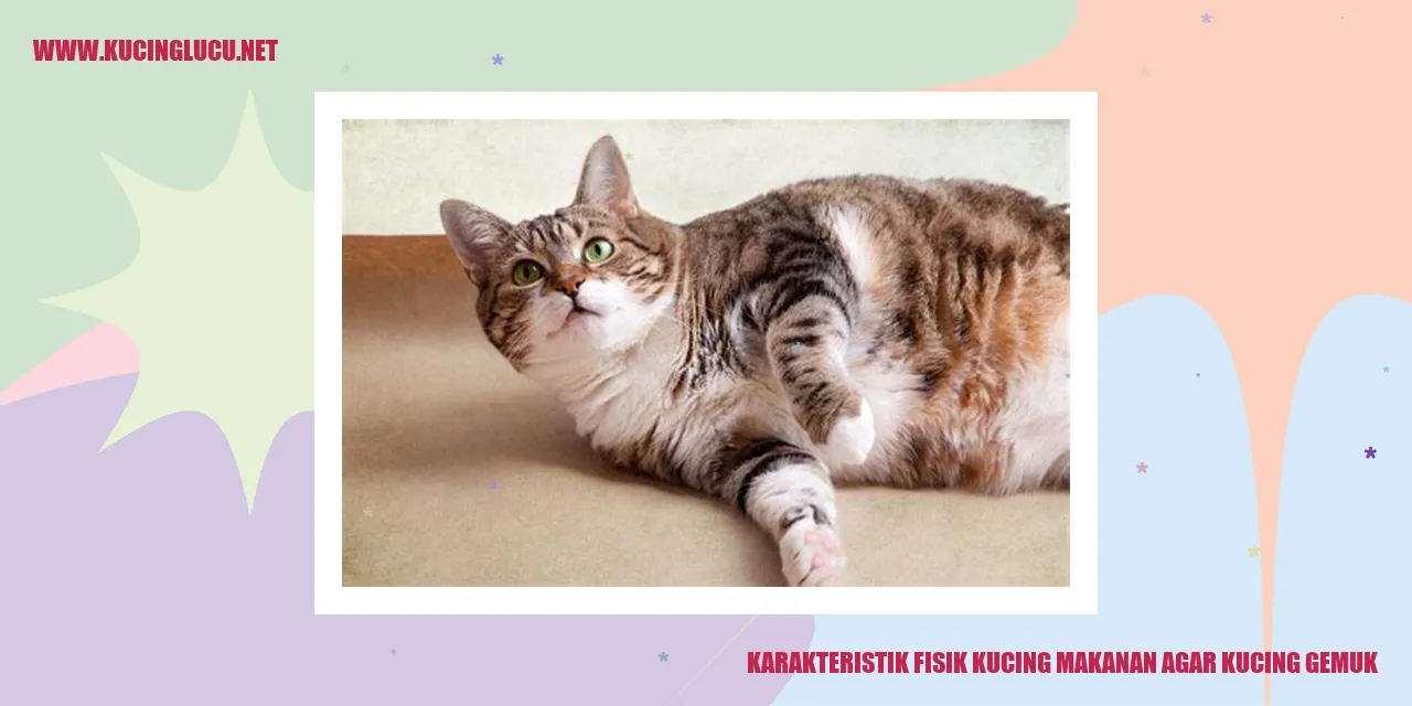 Karakteristik Fisik Kucing Makanan Agar Kucing Gemuk