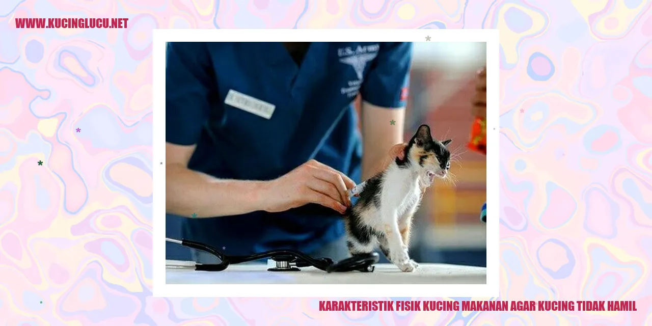 Gambar Kucing