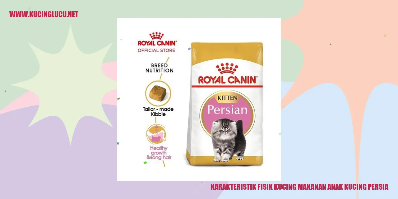 Karakteristik Fisik Kucing Persia