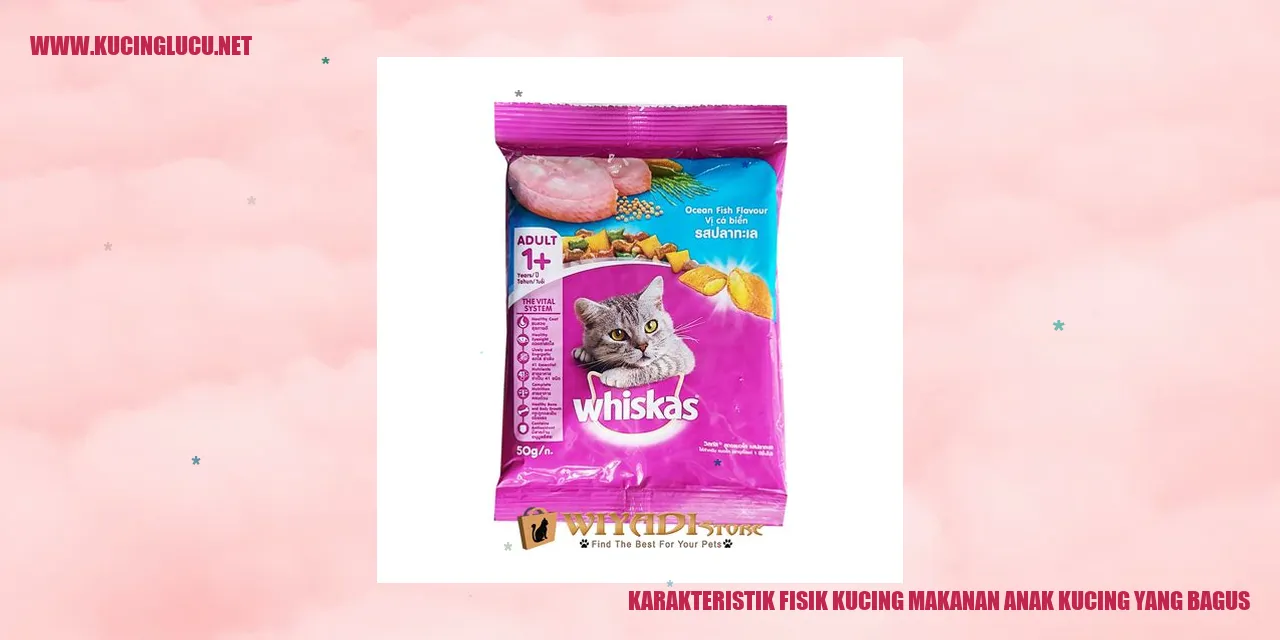 Karakteristik Fisik Kucing