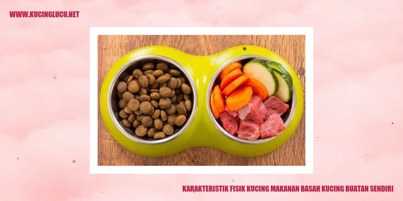 Gambar Kucing