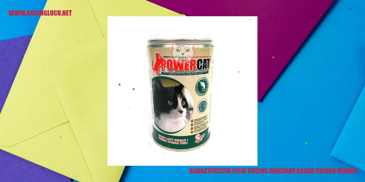 Kucing