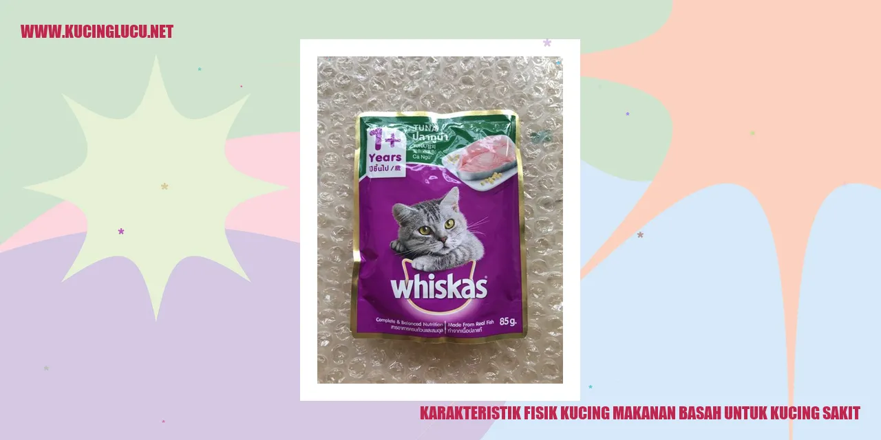 Karakteristik Fisik Kucing makanan basah untuk kucing sakit