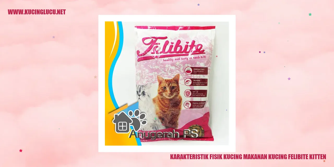Gambar Kucing