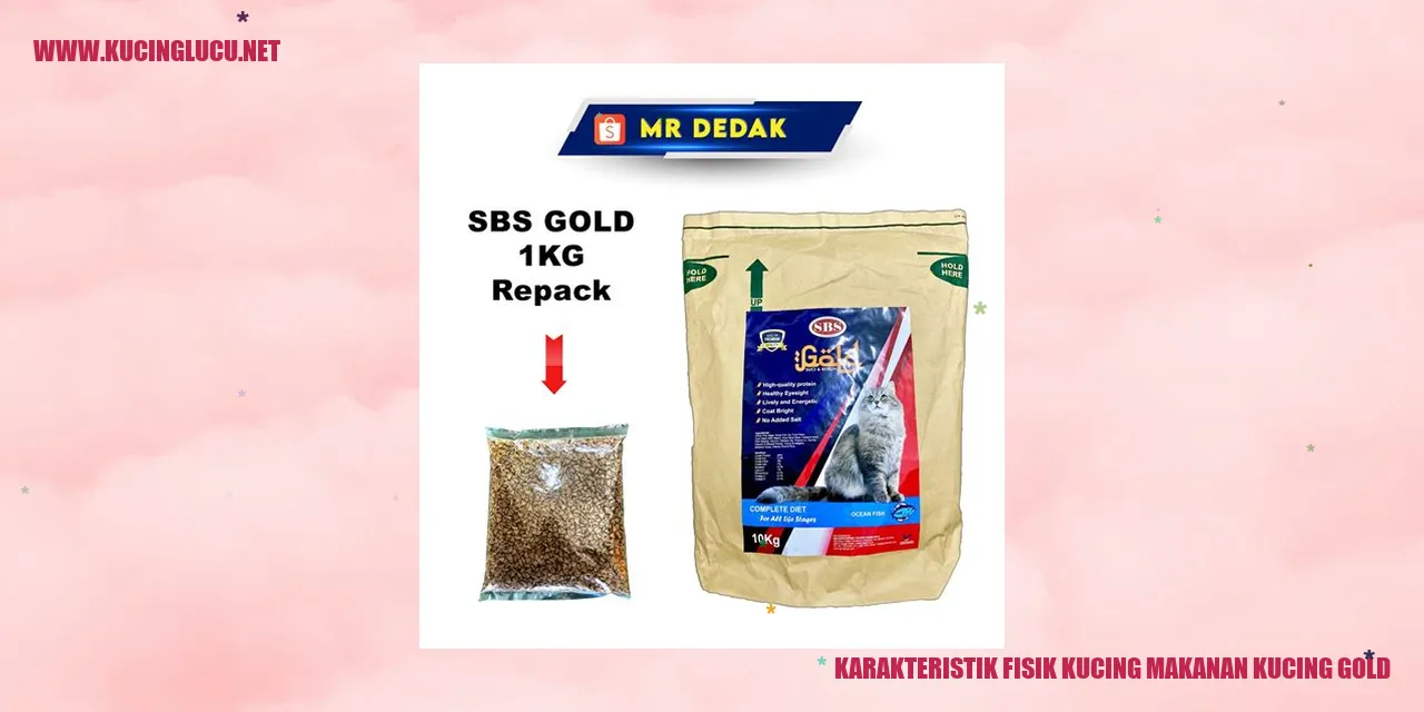 Gambar Kucing Gold