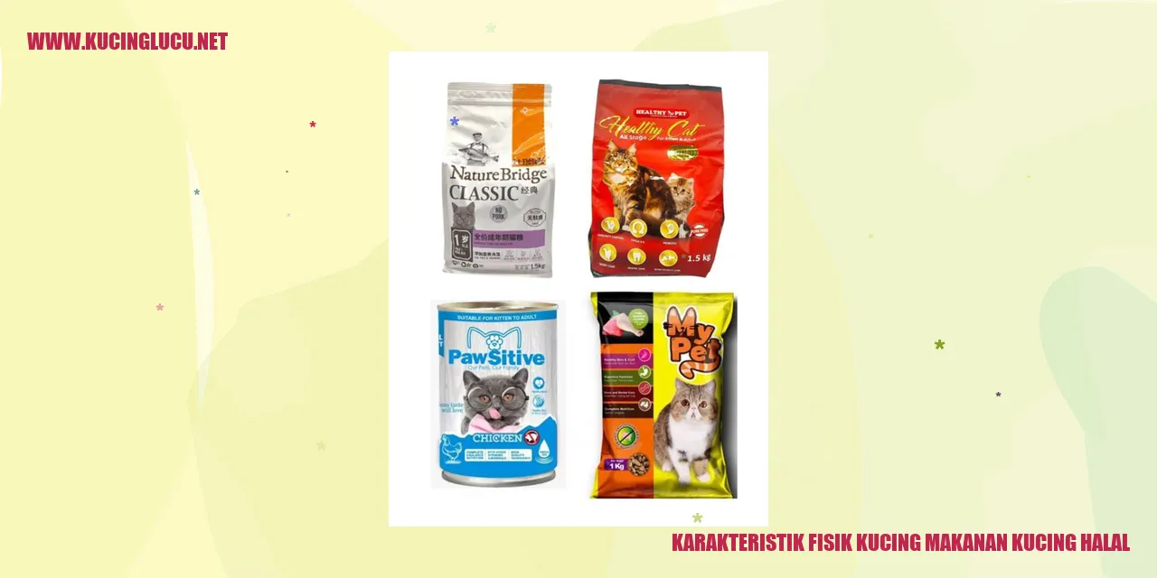 Karakteristik Fisik Kucing dan Makanan Kucing Bebas Haram