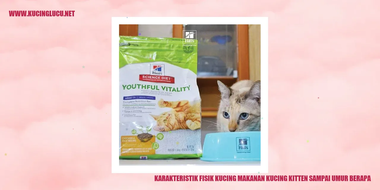 Karakteristik Fisik Kucing