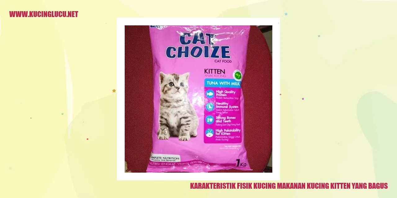 Karakteristik Fisik Kucing dan Pilihan Makanan Terbaik untuk Kucing Kitten