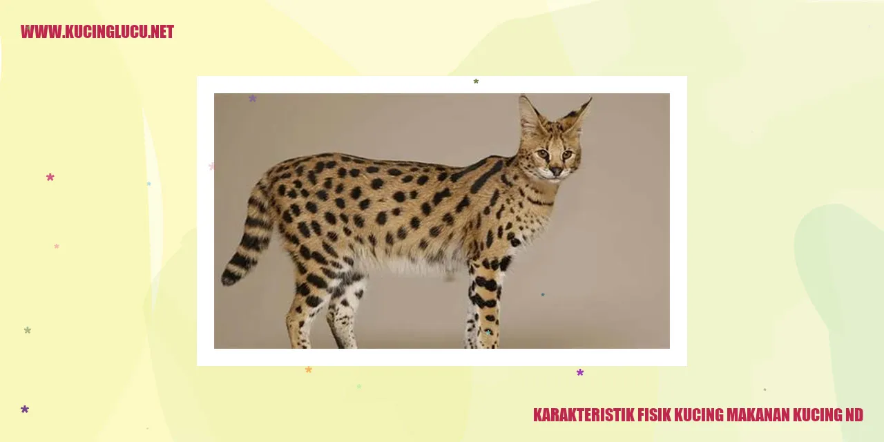 Karakteristik Fisik Kucing makanan kucing nd