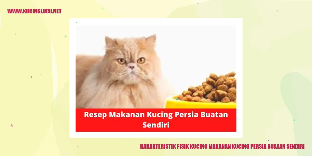 Kucing Persia