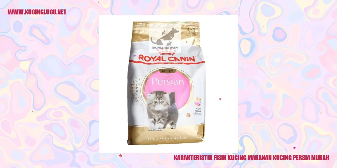 Kucing Persia Murah