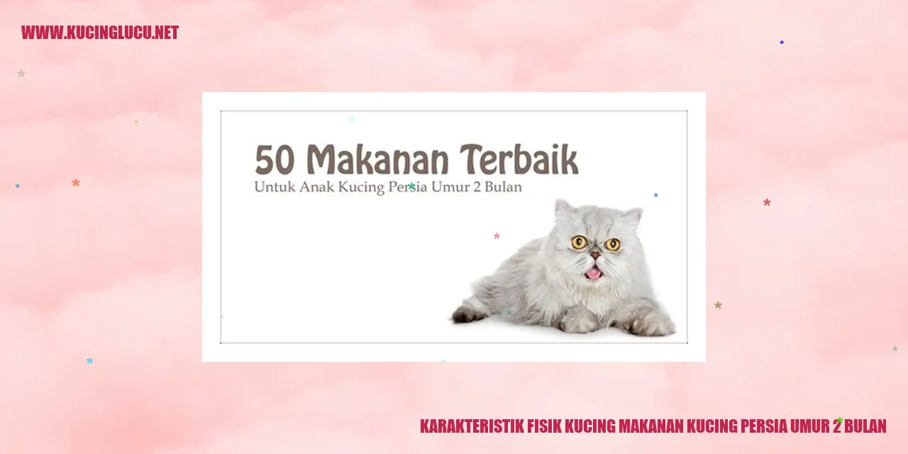 Karakteristik Fisik Kucing Persia Umur 2 Bulan