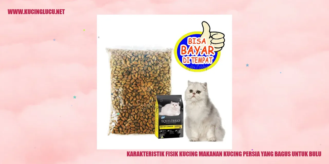 Karakteristik Fisik Kucing Persia