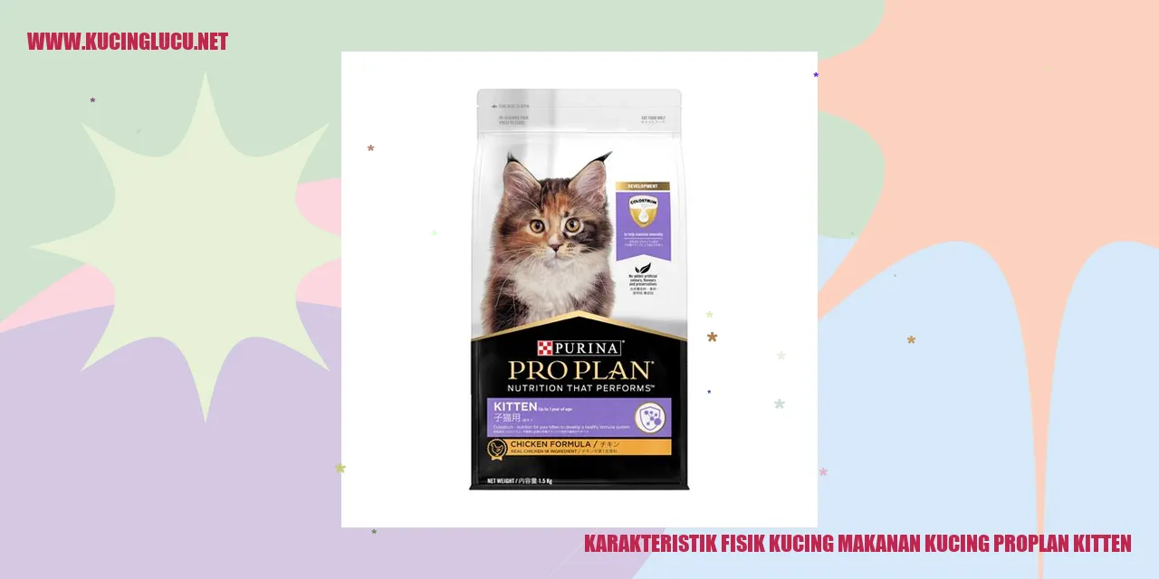Karakteristik Fisik Kucing dan Makanan Kucing Proplan Kitten