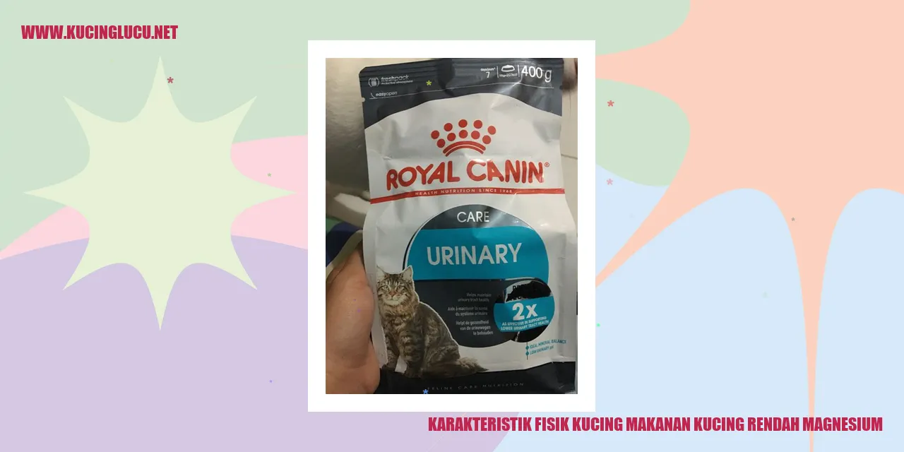 gambar kucing unik