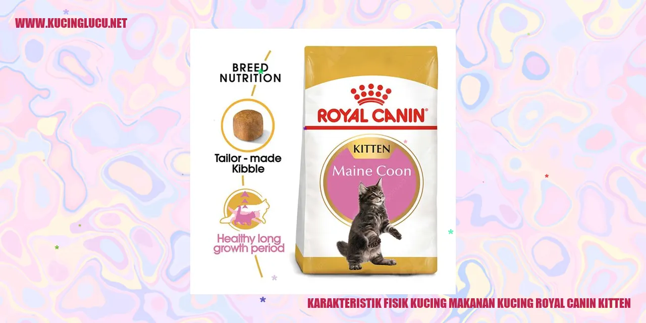 Karakteristik Fisik Kucing