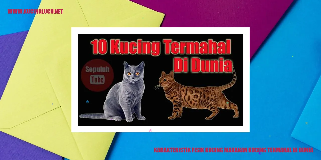 Karakteristik Fisik Kucing Makanan Kucing Termahal di Dunia