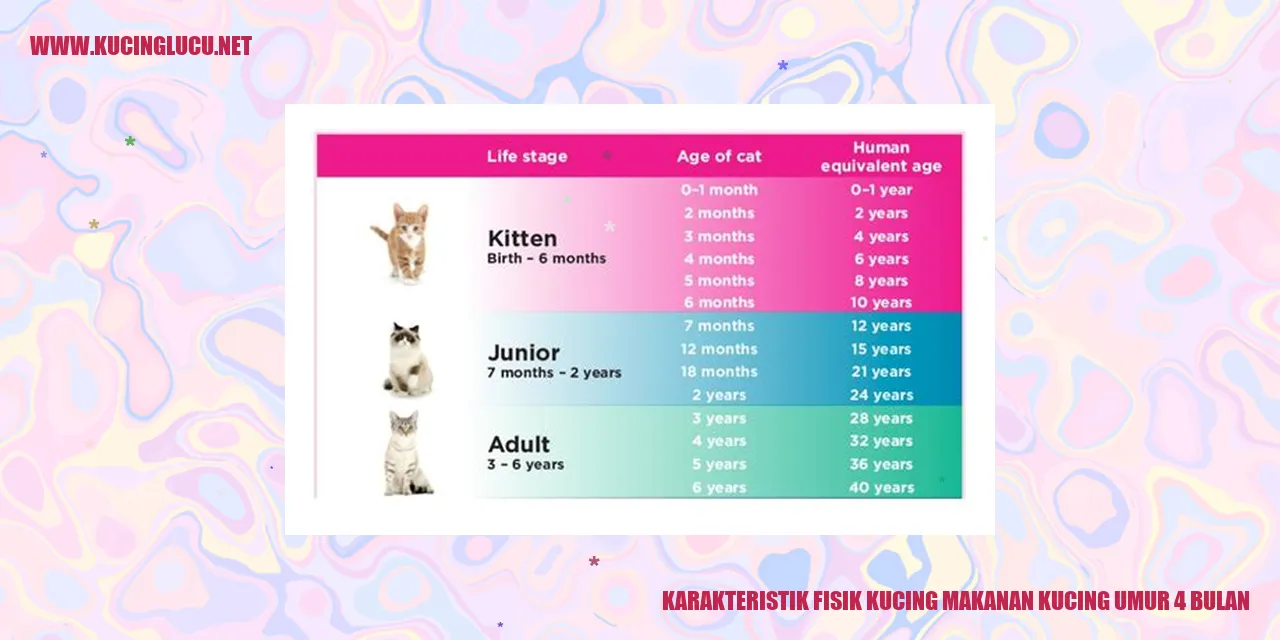 Karakteristik Fisik Kucing makanan kucing umur 4 bulan