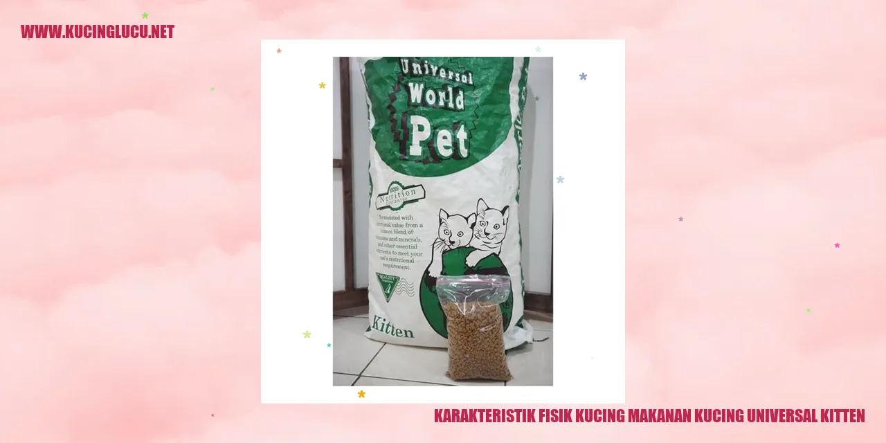 Gambar Kucing Menggemaskan