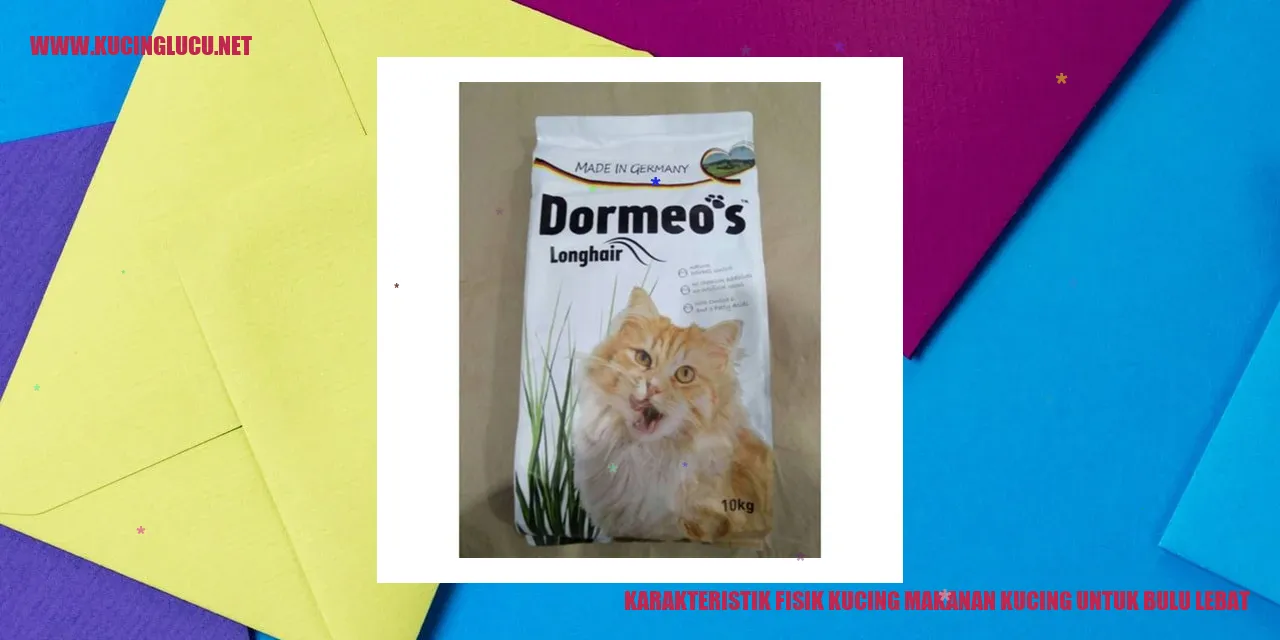 Gambar kucing dengan bulu yang lebat