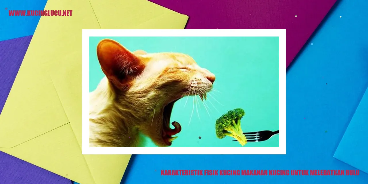 Foto menarik kucing dengan bulu tebal