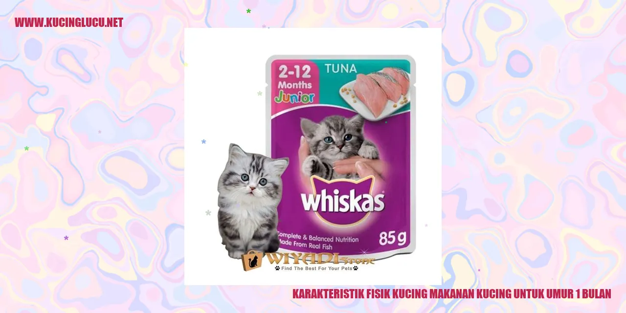 Kucing Usia 1 Bulan